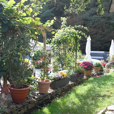 Im Morgenbachtal Apartment Trechtingshausen