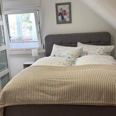 Apartment Im Morgenbachtal Trechtingshausen