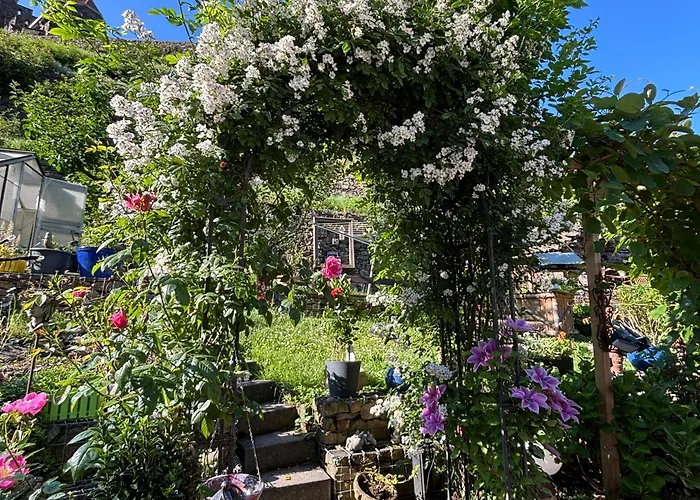 Apartment Im Morgenbachtal